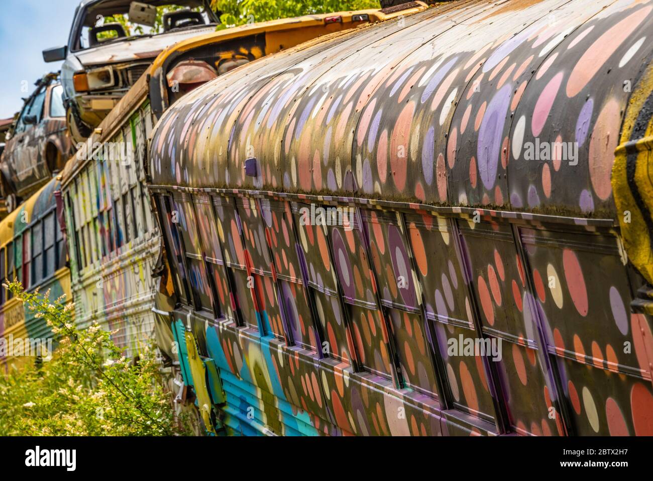 Colorful school buses at the School Bus Graveyard in Alto, Georgia. (USA) Stock Photo