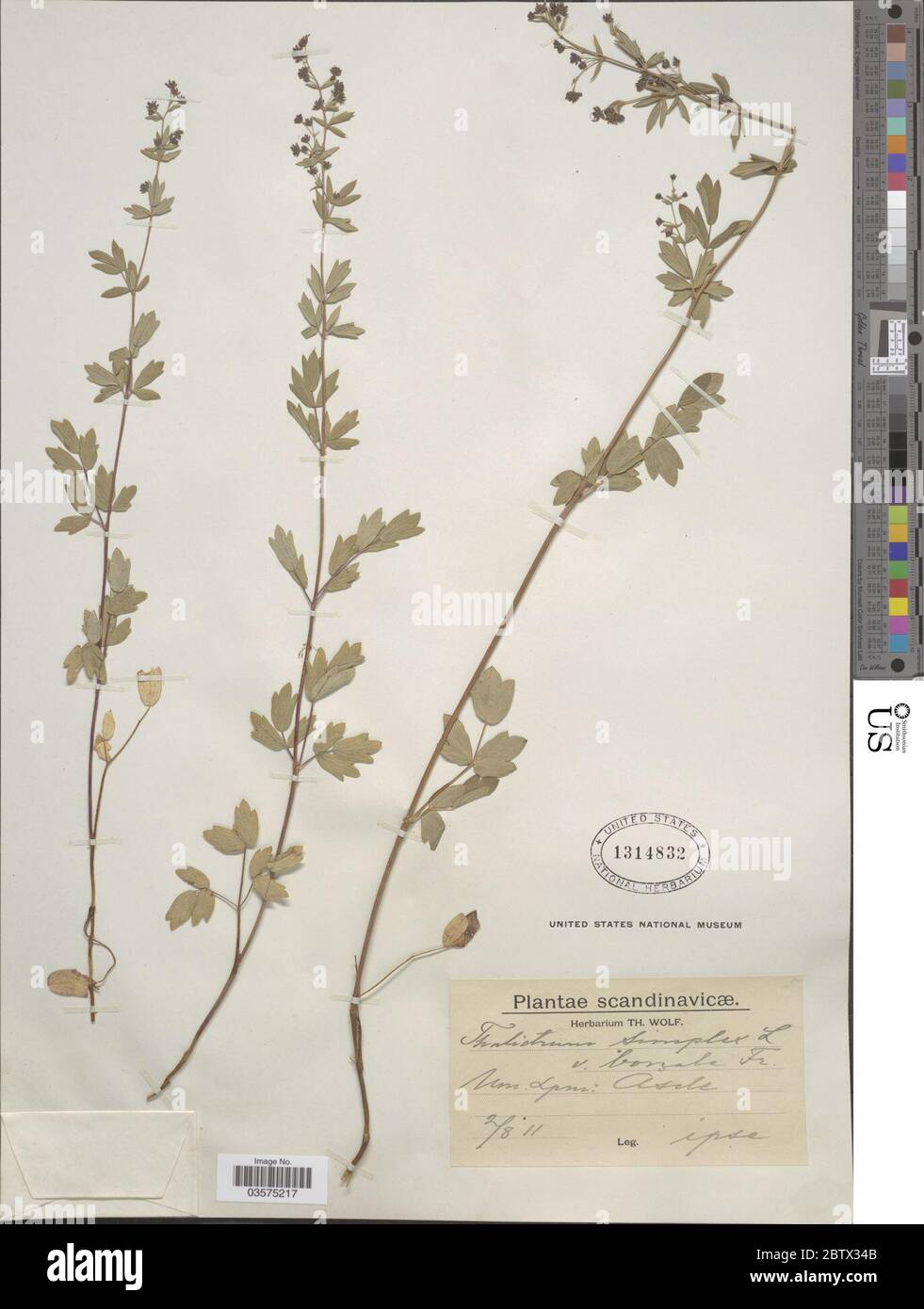 Simplex image hi-res stock photography and images - Alamy