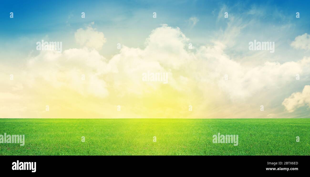Green grass field and blue sky summer landscape background Stock Photo ...