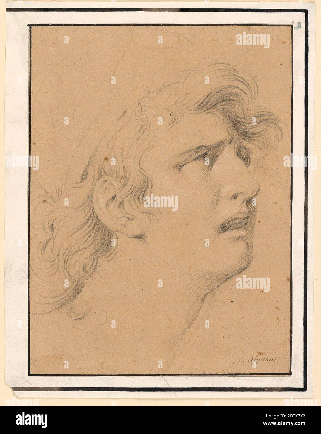 The Head of a Despairing Young Woman. Research in ProgressTurned toward ...
