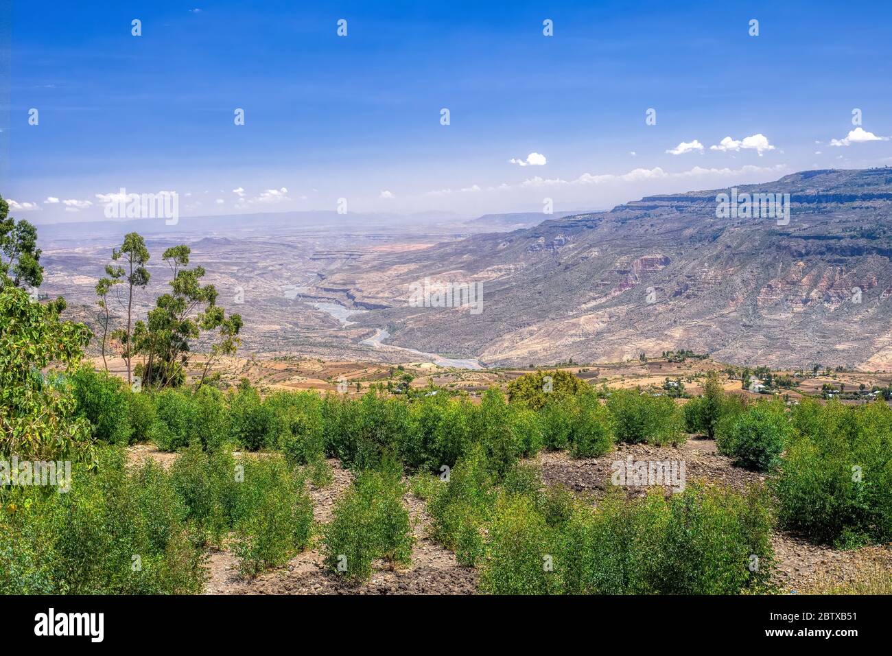 Beautiful canyon and dry river bed in Oromia Region. Ethiopia wilderness landscape, Africa. Stock Photo