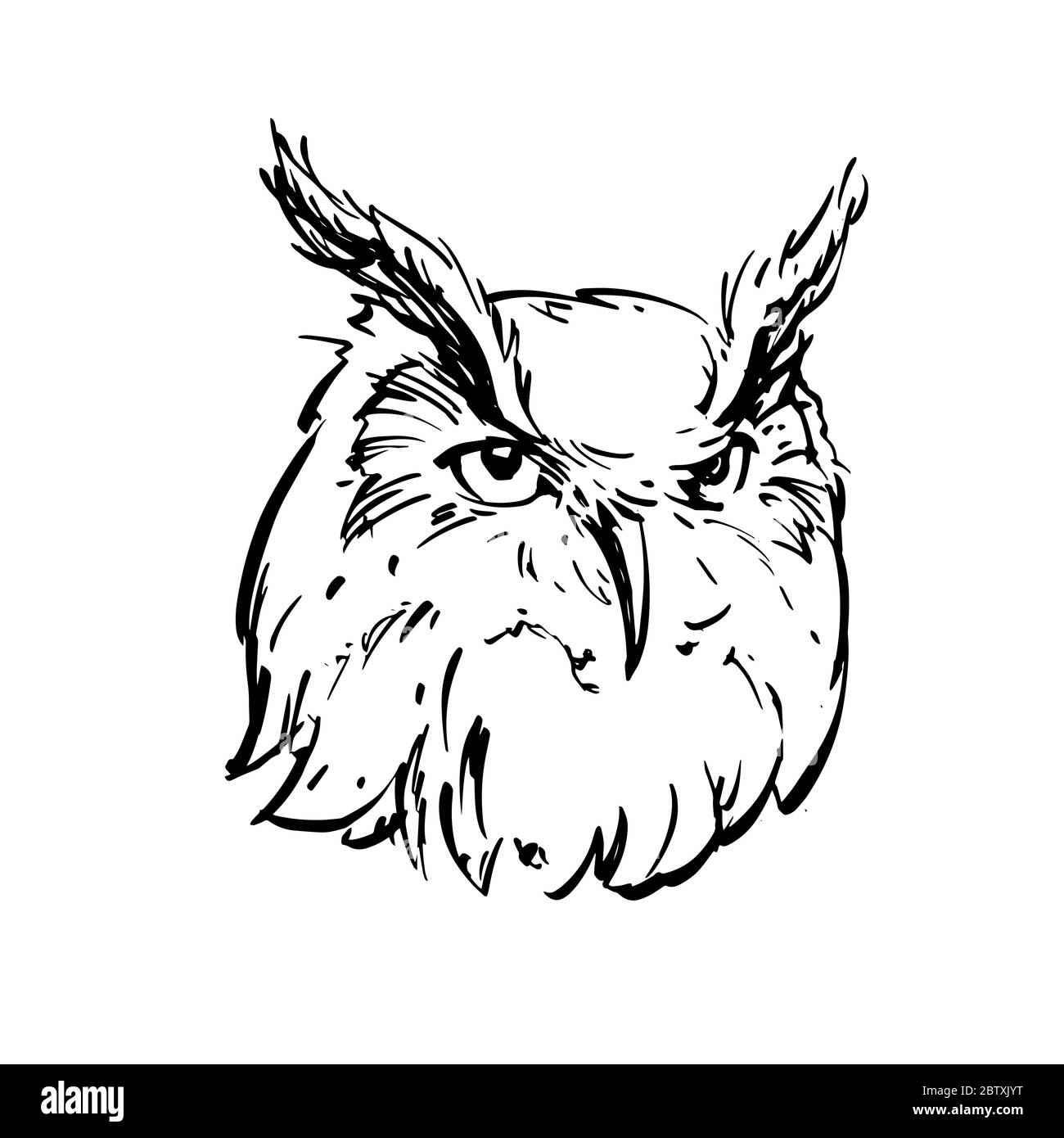 Realistic black and white drawing of an owl's head. For coloring. Stock Vector