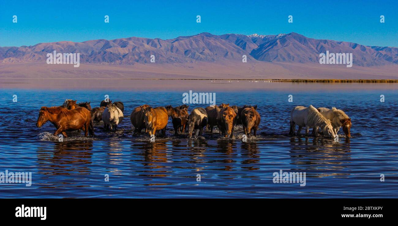 Jargalant mountain hi-res stock photography and images - Alamy