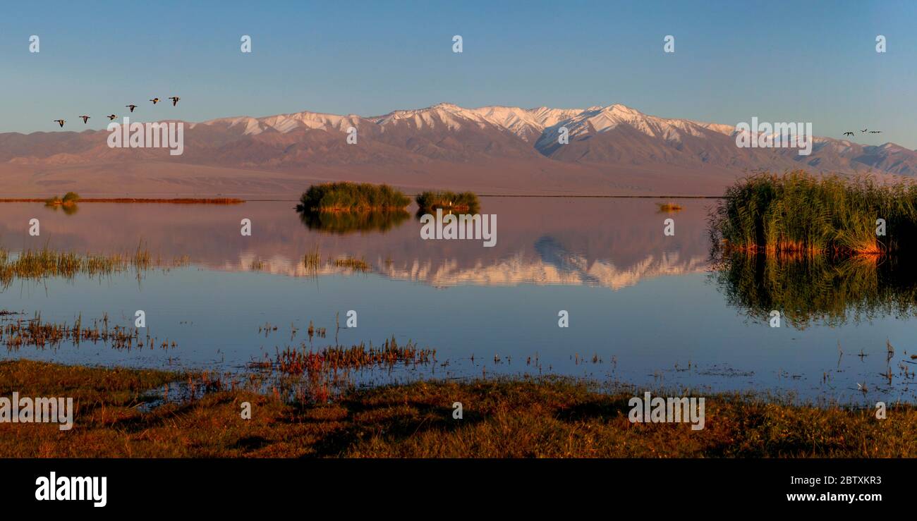 Khar us nuur hi-res stock photography and images - Alamy