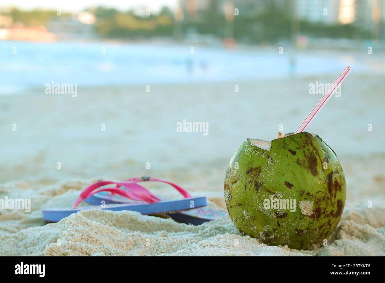 Unripe Coconut High Resolution Stock Photography And Images Alamy