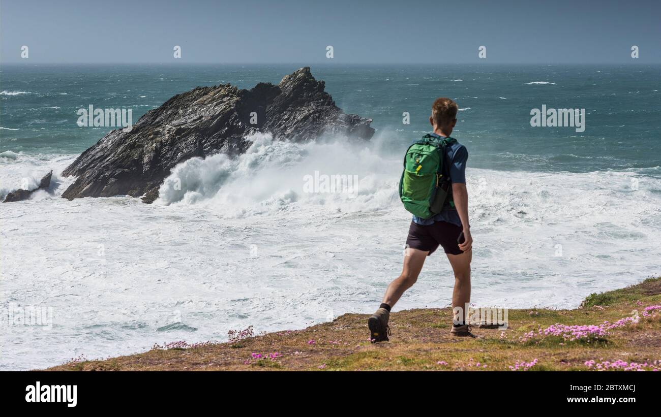 A panoramic view of walker watching wild waves crashing over Goose Island as he walks along the coast of Pentire Point East in Newquay in Cornwall. Stock Photo