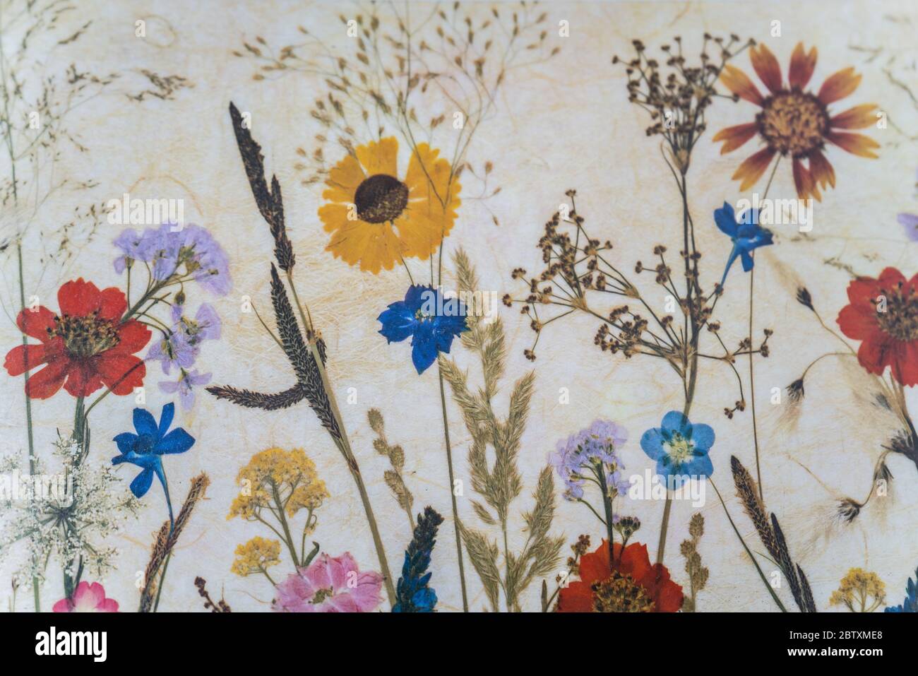 Flores primavera hi-res stock photography and images - Alamy