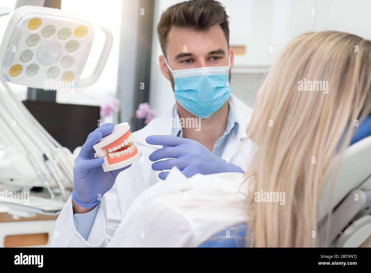 Dentist holding jaw samples tooth. Professional consultation in dental clinic Stock Photo