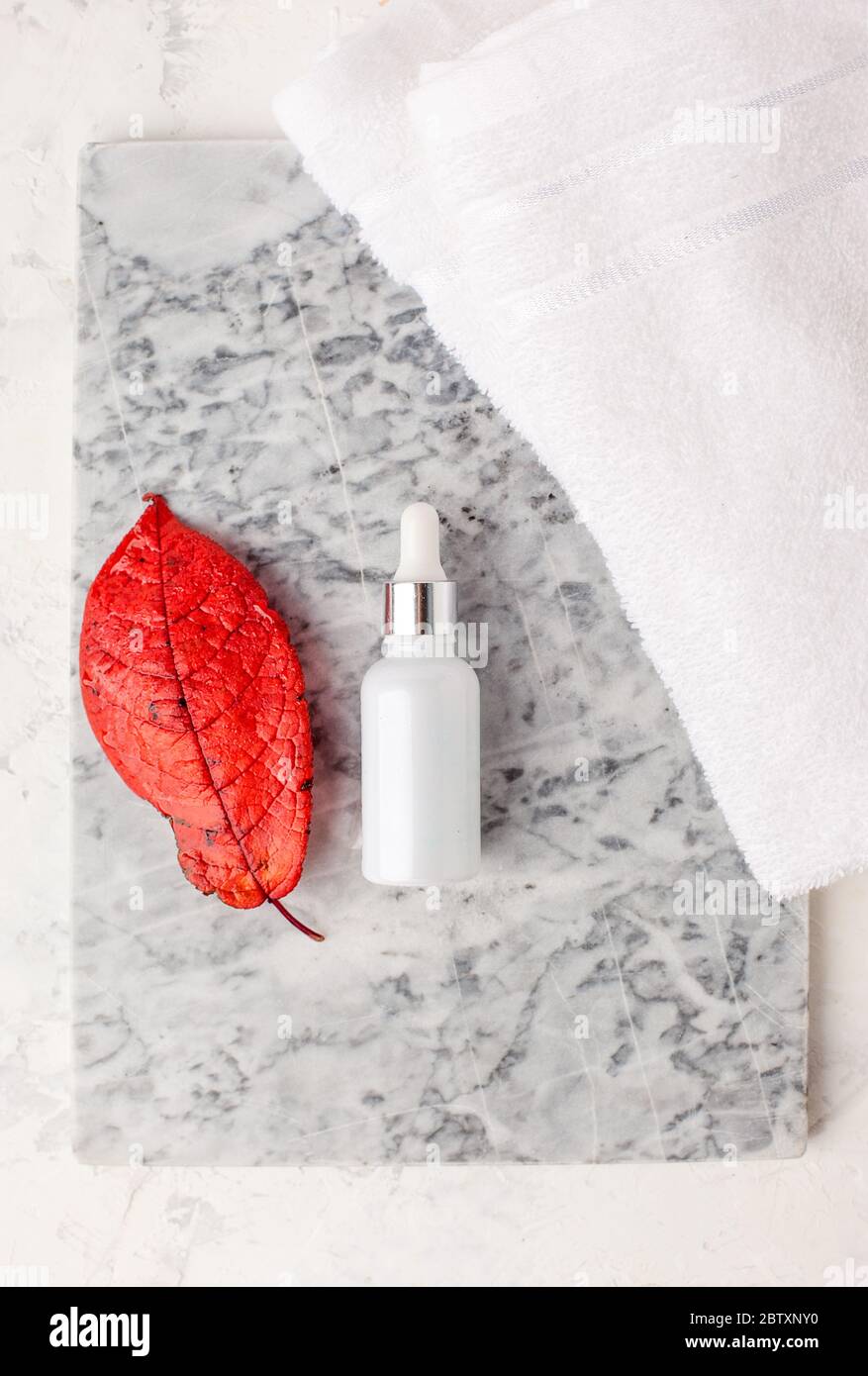 Natural Cosmetics For Face And Body Skin Care In Autumn Fall Season Fall Spa Beauty Products From Above On White Towel And Gray Marble Plate Copy Sp Stock Photo Alamy