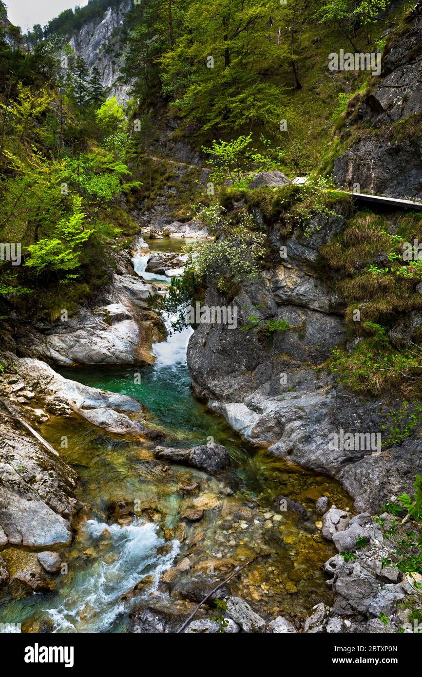 Austria Wild Rivers Clear And Wild Mountain River In Green Canyon In Ötschergräben In ...