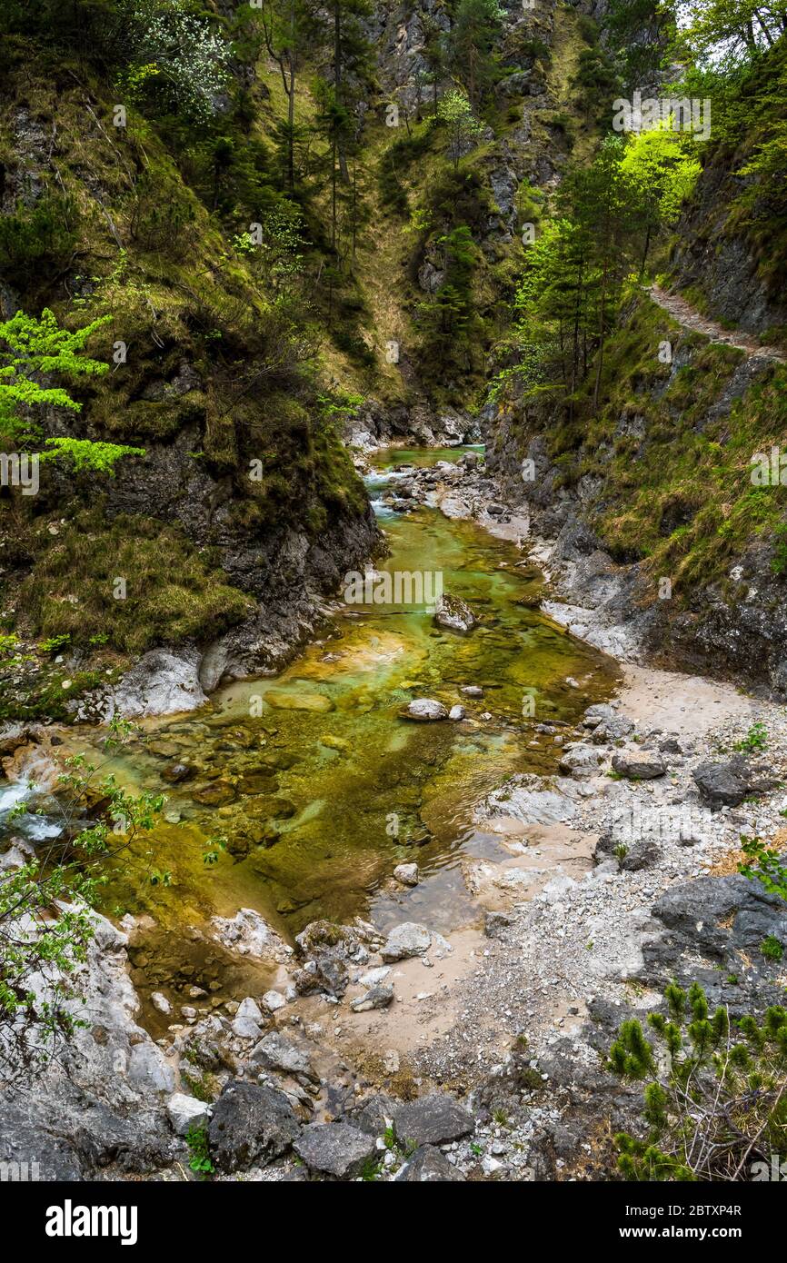 Austria Wild Rivers Clear And Wild Mountain River In Green Canyon In Ötschergräben In ...
