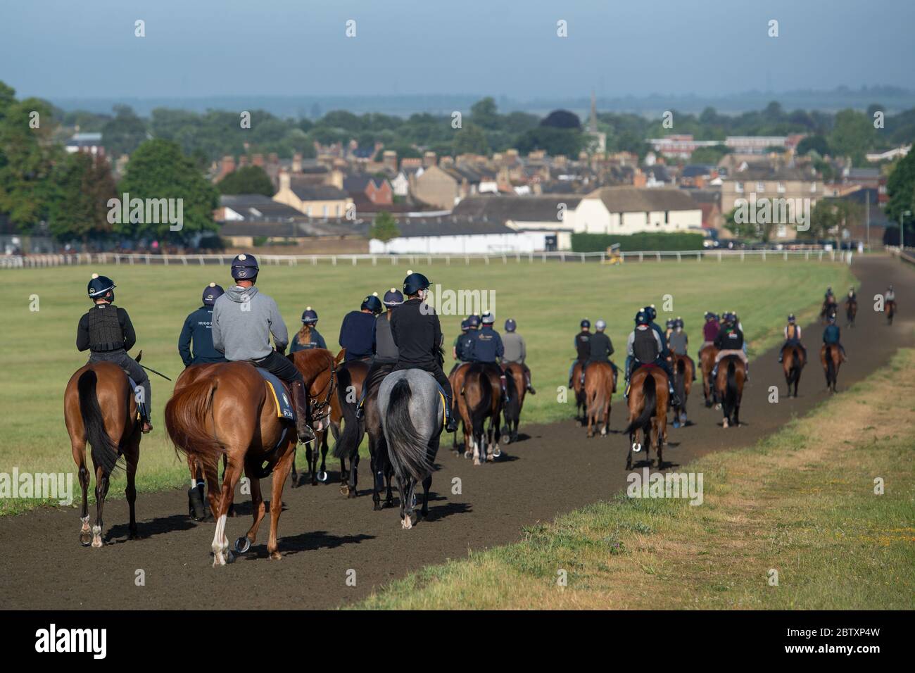 Racehorses on the gallops at Newmarket. Stock Photo