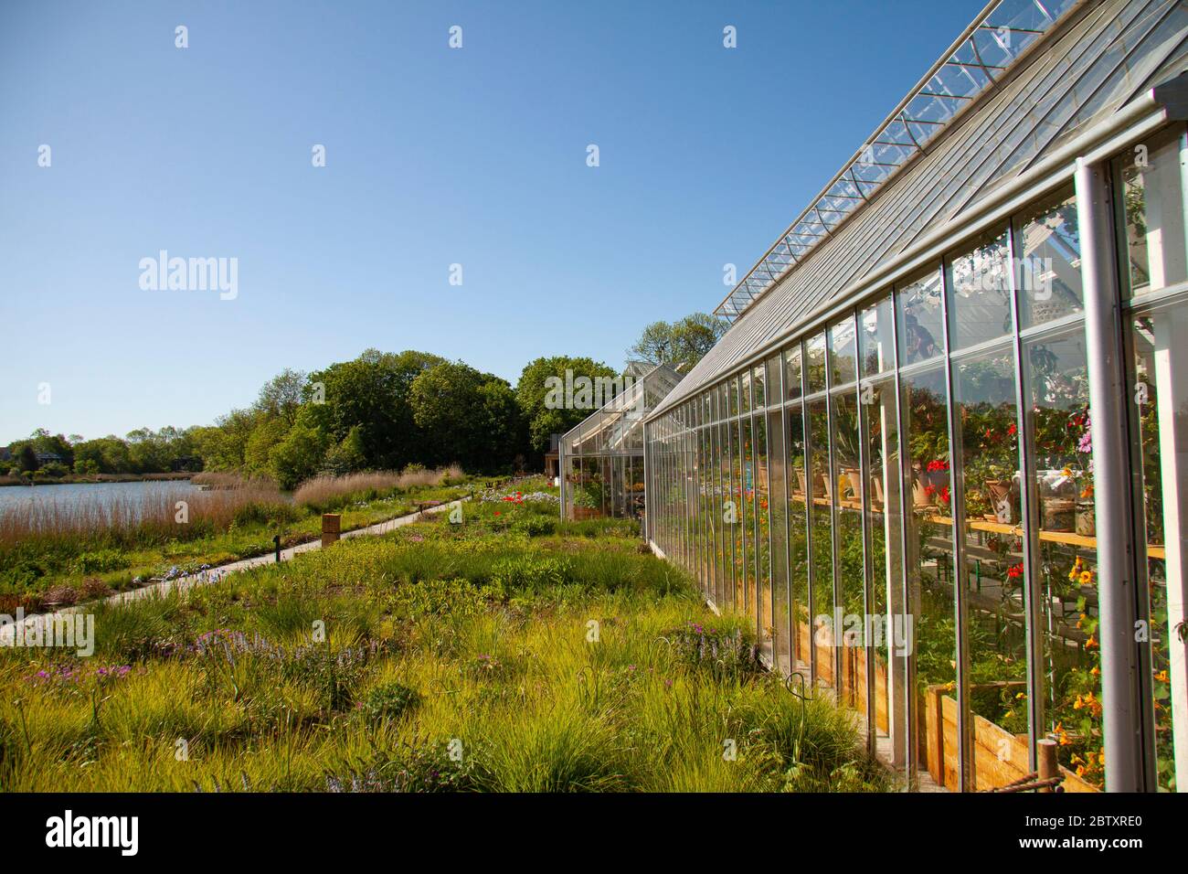 The new NOMA. An exterior view of greenhouses at the Michelin star restaurant NOMA - one of the best restaurants in the world, featuring chef Rene Red Stock Photo