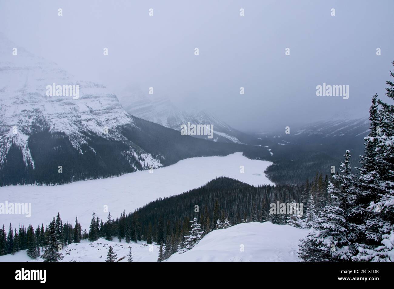 Peyto Lake in Banff National Park in Canadian Rocky Mountains Stock ...