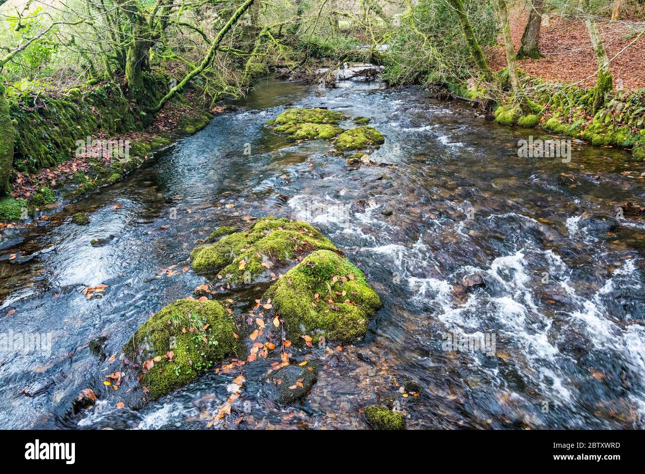 The River Lyd near Lydford, upstream from the Lydford Gorge, Dartmoor National Park, Devon, England, UK. Stock Photo