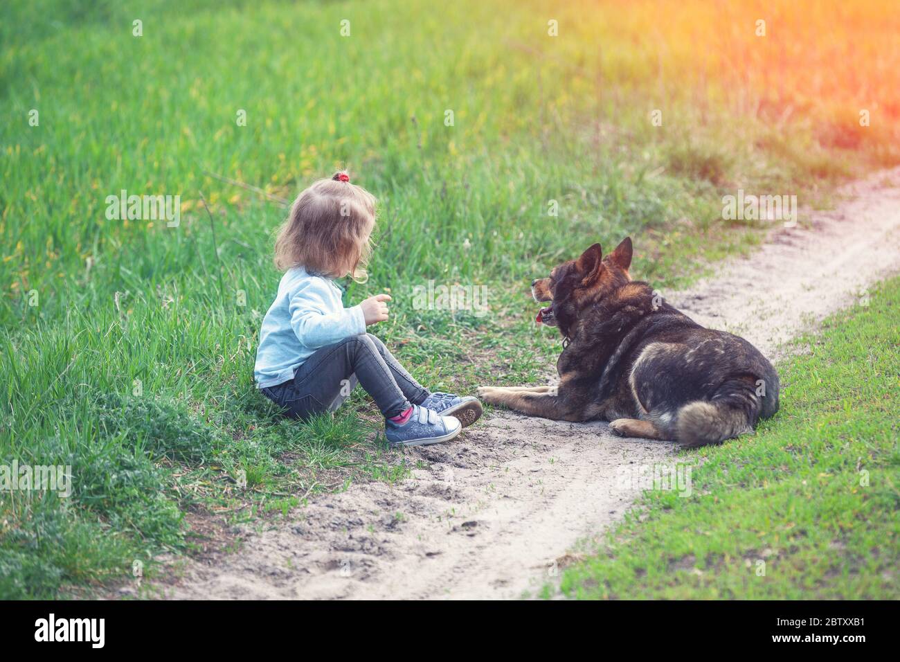 Little girl sitting with a dog on the meadow in summer back to the ...