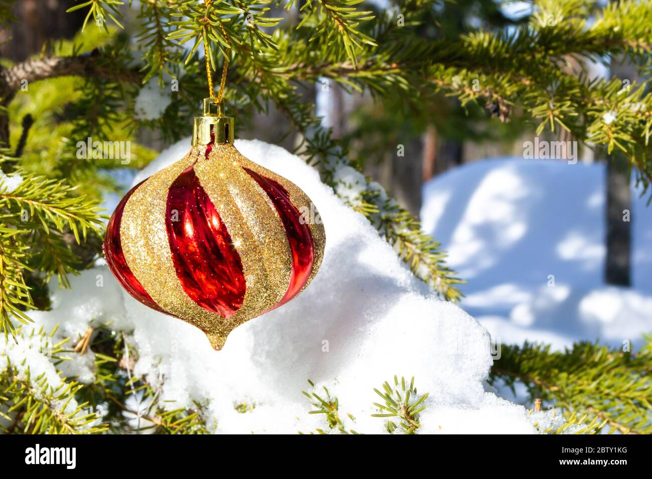 Christmas decoration on a real Christmas tree. Christmas red and gold ball hanging on a snow-covered fir branch in the winter forest. Natural style. Stock Photo
