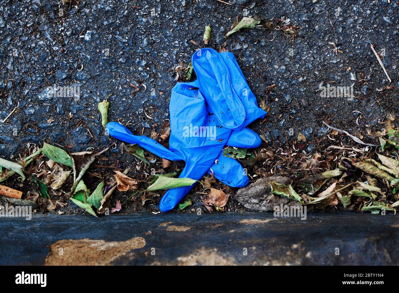 Discarded Latex glove Stock Photo Alamy