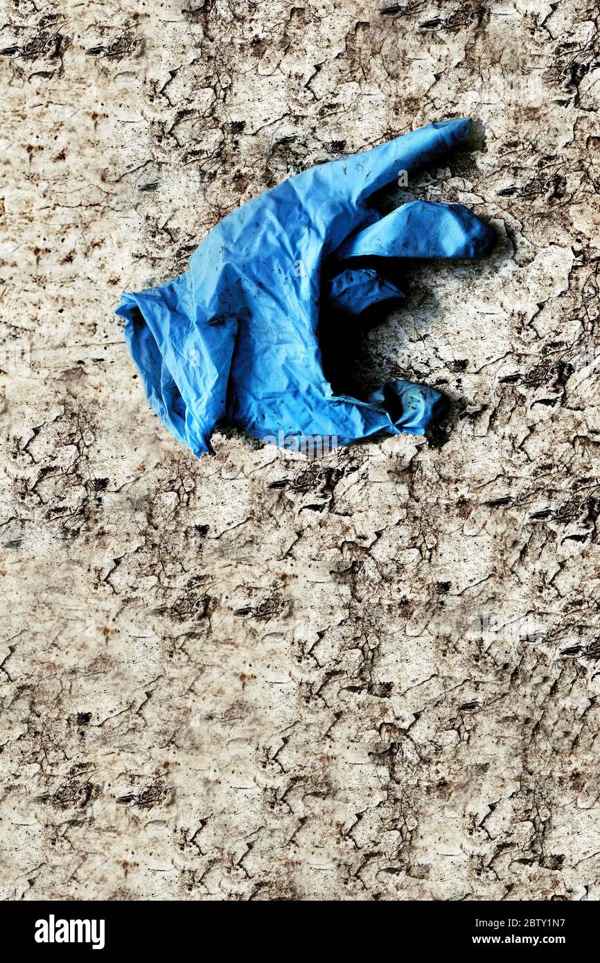 Discarded Latex glove. Stock Photo