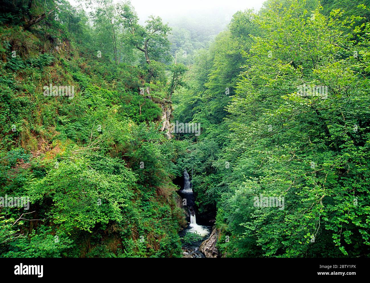Reserva natural del paisaje hi-res stock photography and images - Alamy
