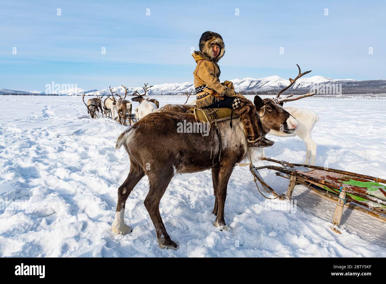 Evenk Boy Sitting On A Reindeer Oymyakon Sakha Republic Yakutia Russia Eurasia Stock Photo Alamy