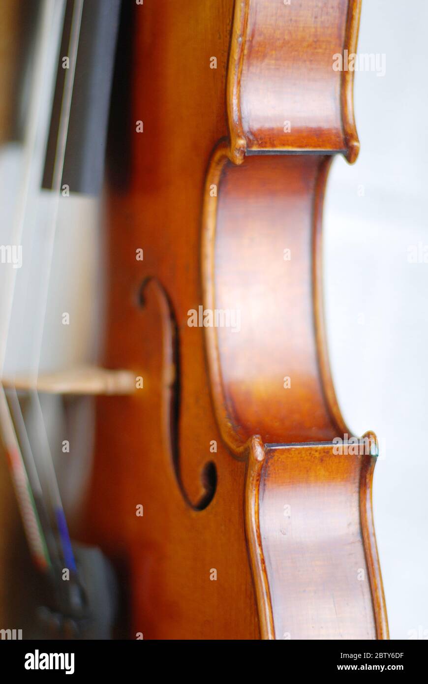Corpus of an violine instrument Stock Photo