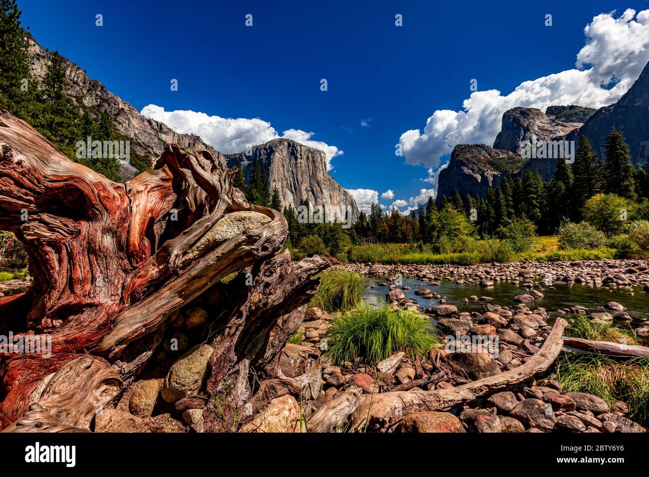 World famous rock climbing wall of El Capitan, Yosemite national park, California, usa Stock