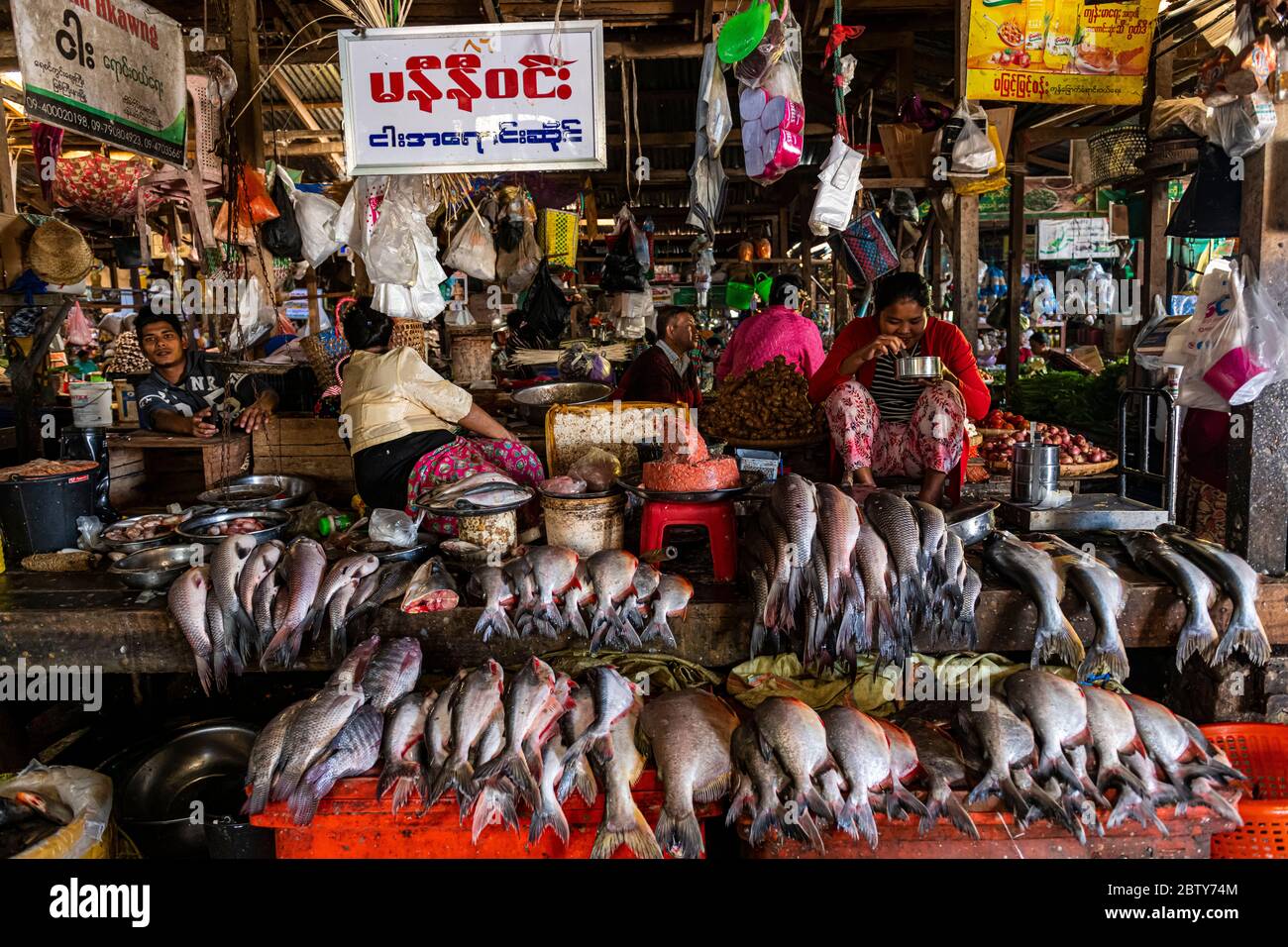 Fish market, Myitkyina, Kachin state, Myanmar (Burma), Asia Stock Photo