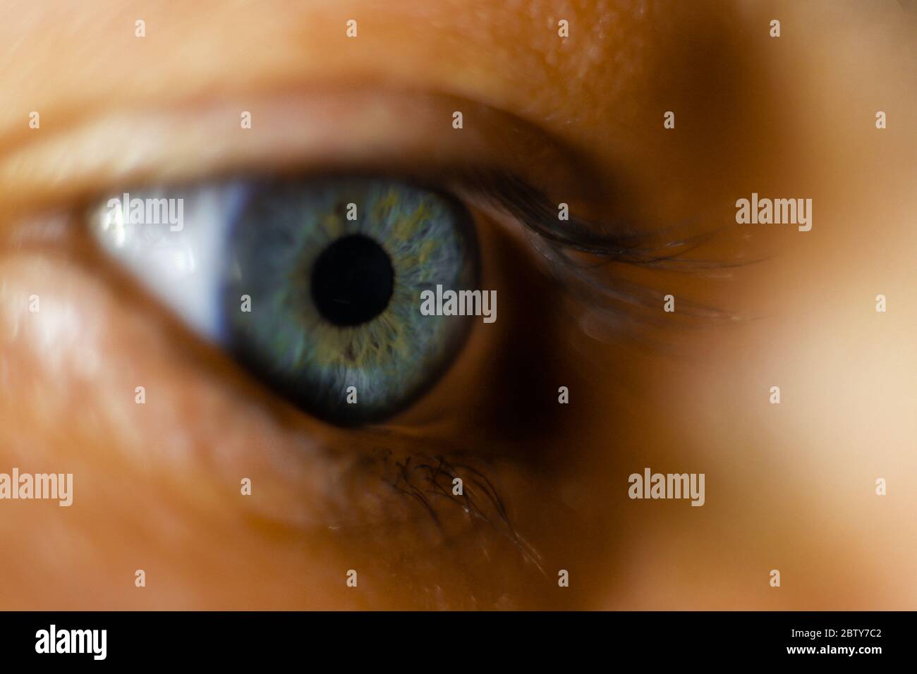 Blue eye from a man closeup macro Stock Photo