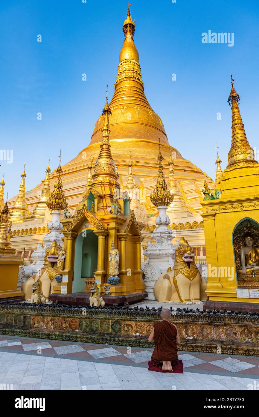 Monk praying before the Shwedagon pagoda, Yangon (Rangoon), Myanmar (Burma), Asia Stock Photo