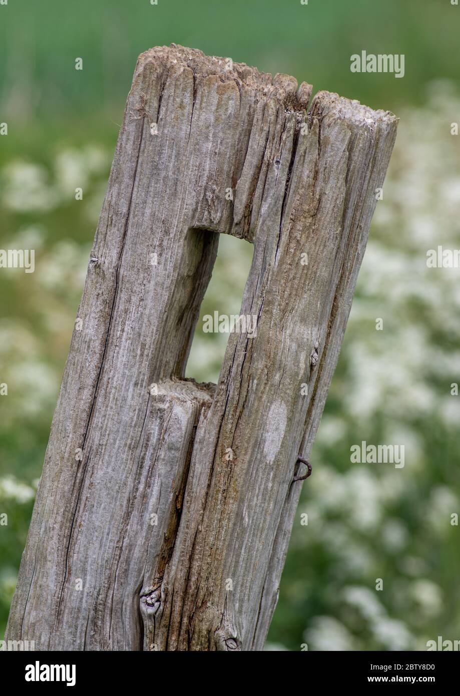 Old broken fence hi-res stock photography and images - Alamy
