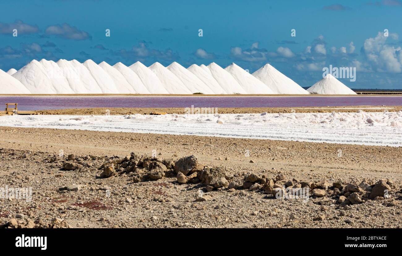 Stacks of salt beside large salt pans, Bonaire, ABC Islands, Dutch Antilles, Caribbean, Central America Stock Photo