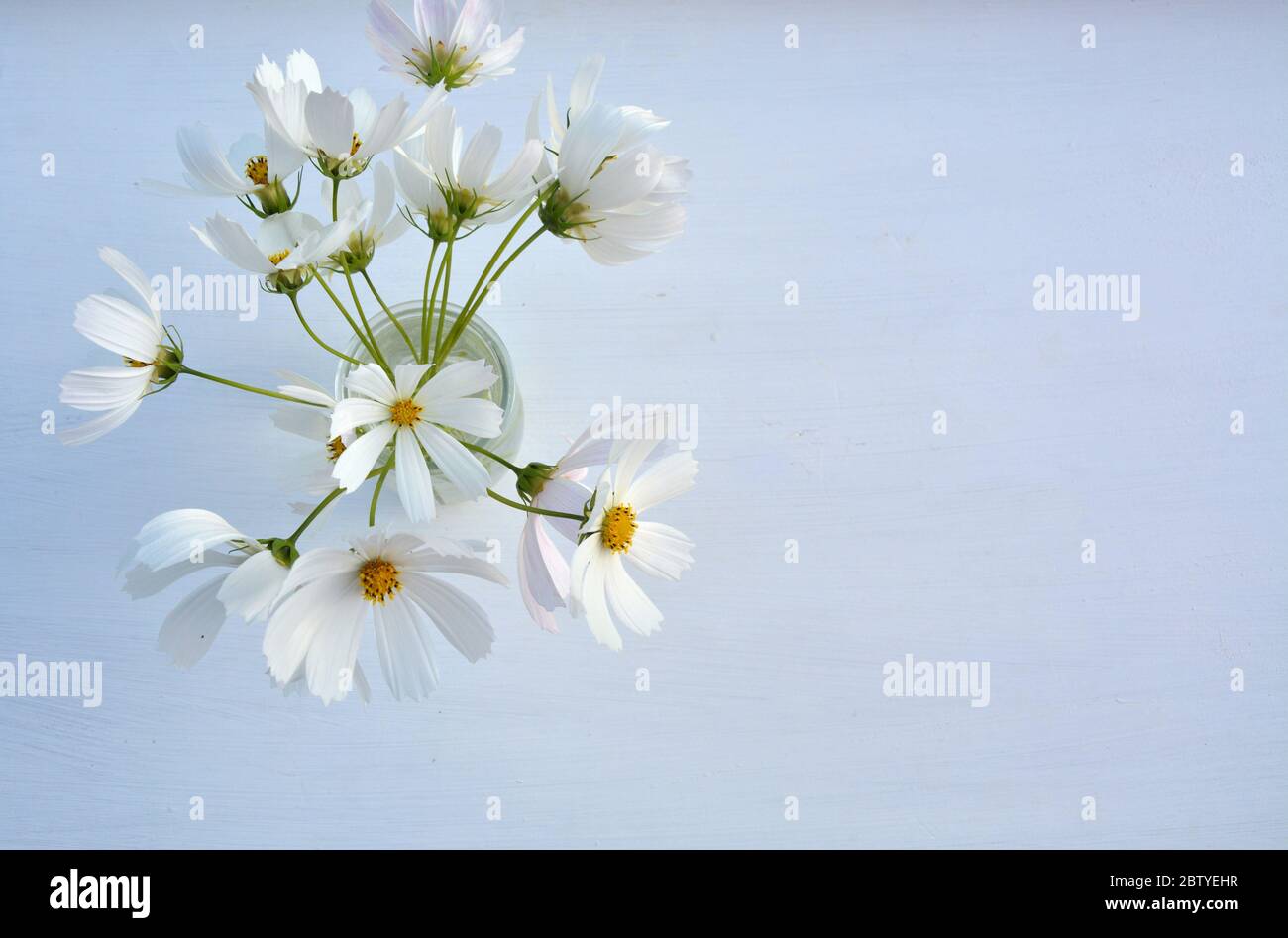 White flowers in vase on white background Stock Photo - Alamy