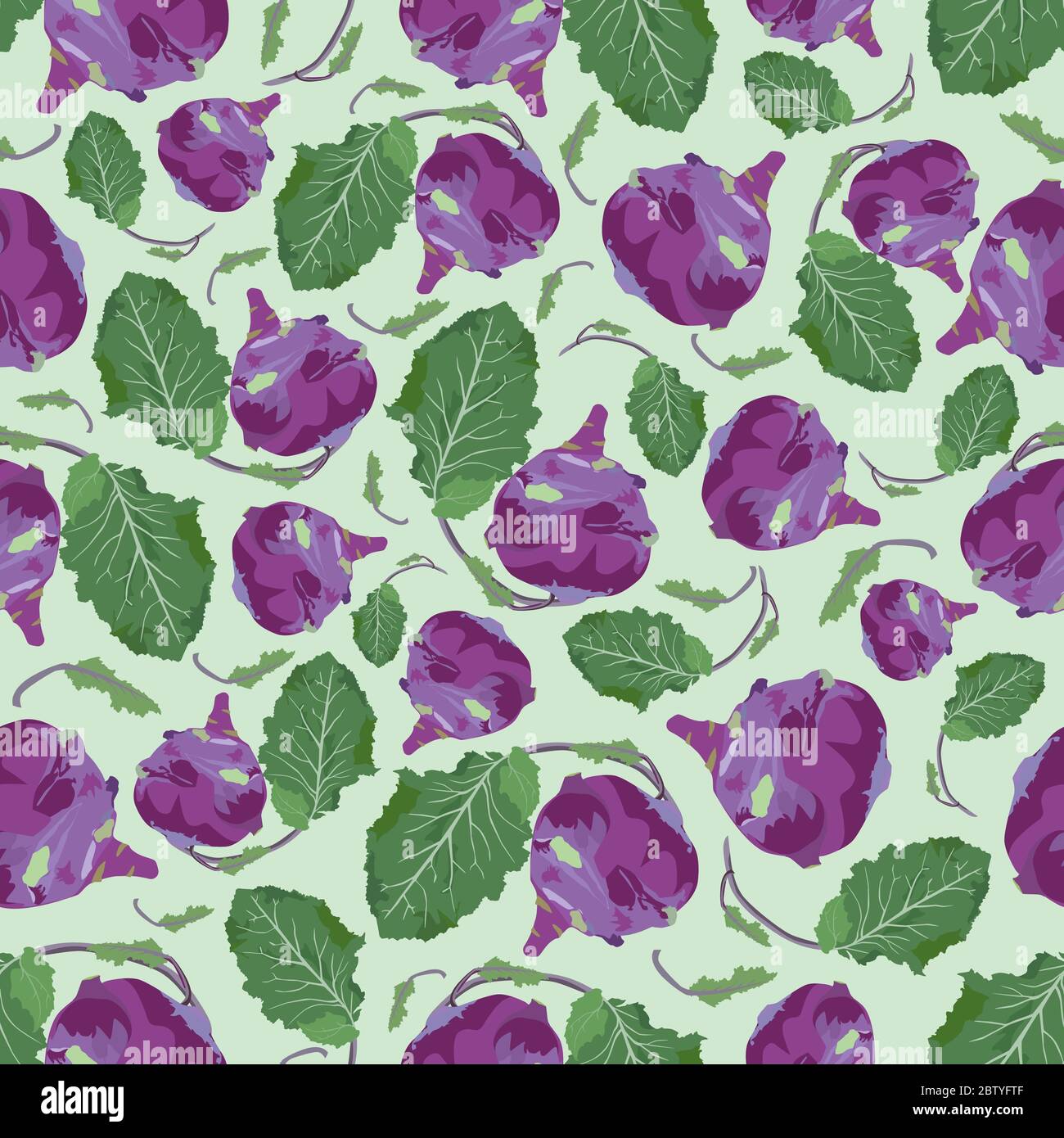 Vector seamless pattern with fresh healthy kohlrabi cabbage Stock Vector