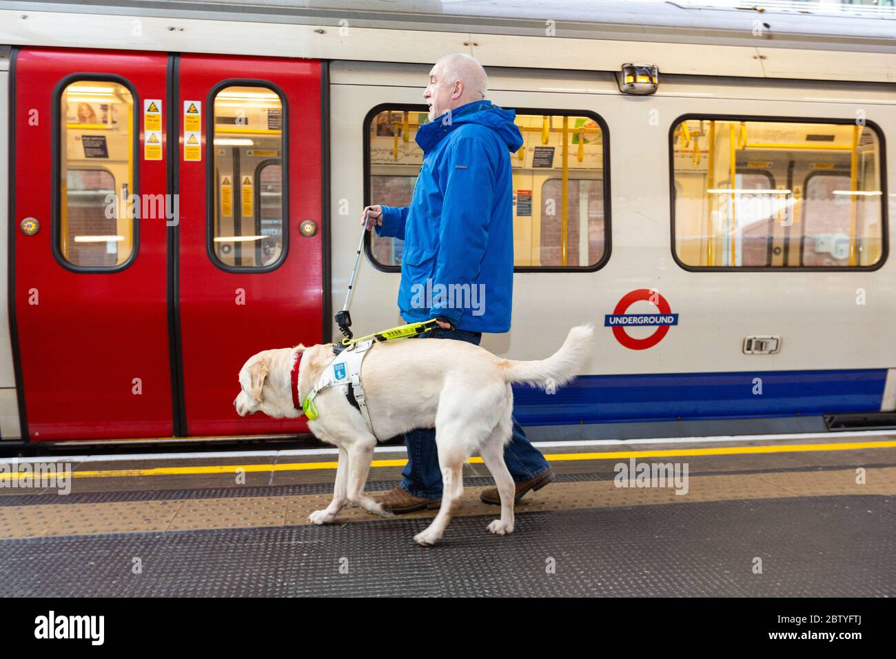 Can Dogs Travel On The Tube