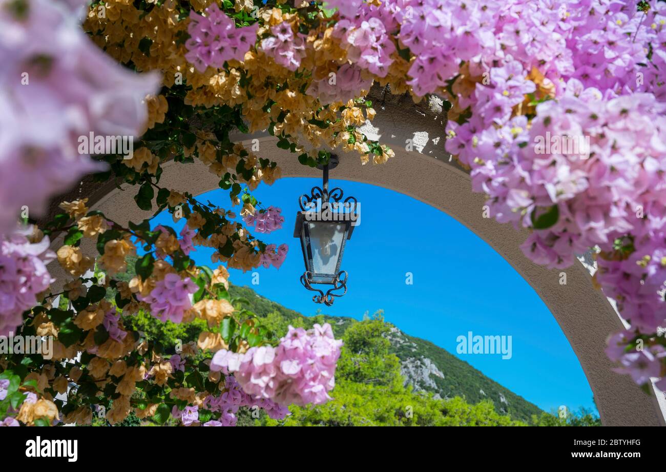 Beautiful pink flowers growing over an arch in the grounds of the Marbella Beach Hotel,  Corfu, Greece. Stock Photo