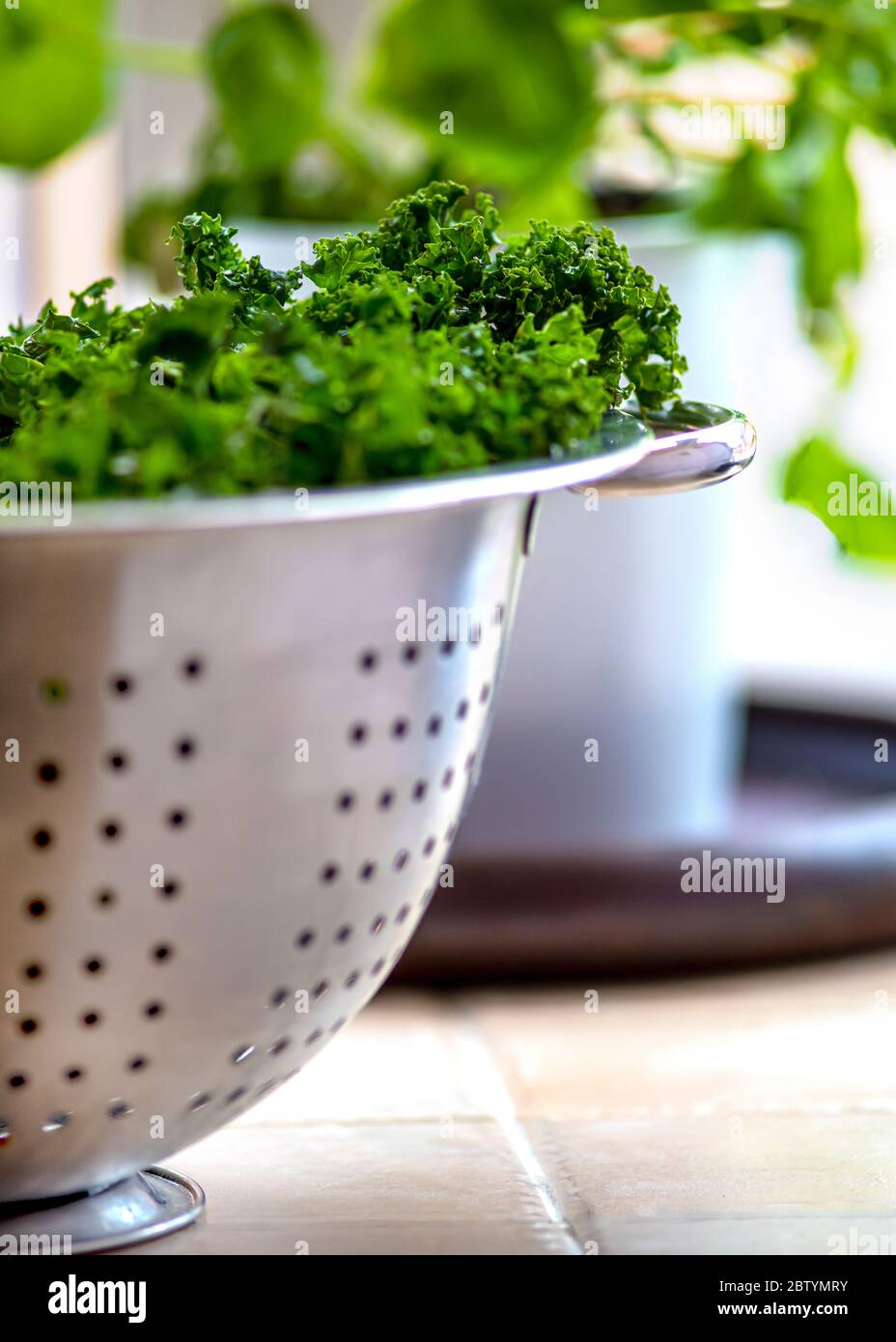 fresh healthy organic kale  in a stainless steel colander,  selective focus shot for the use of copy space in the background showing other herbs Stock Photo