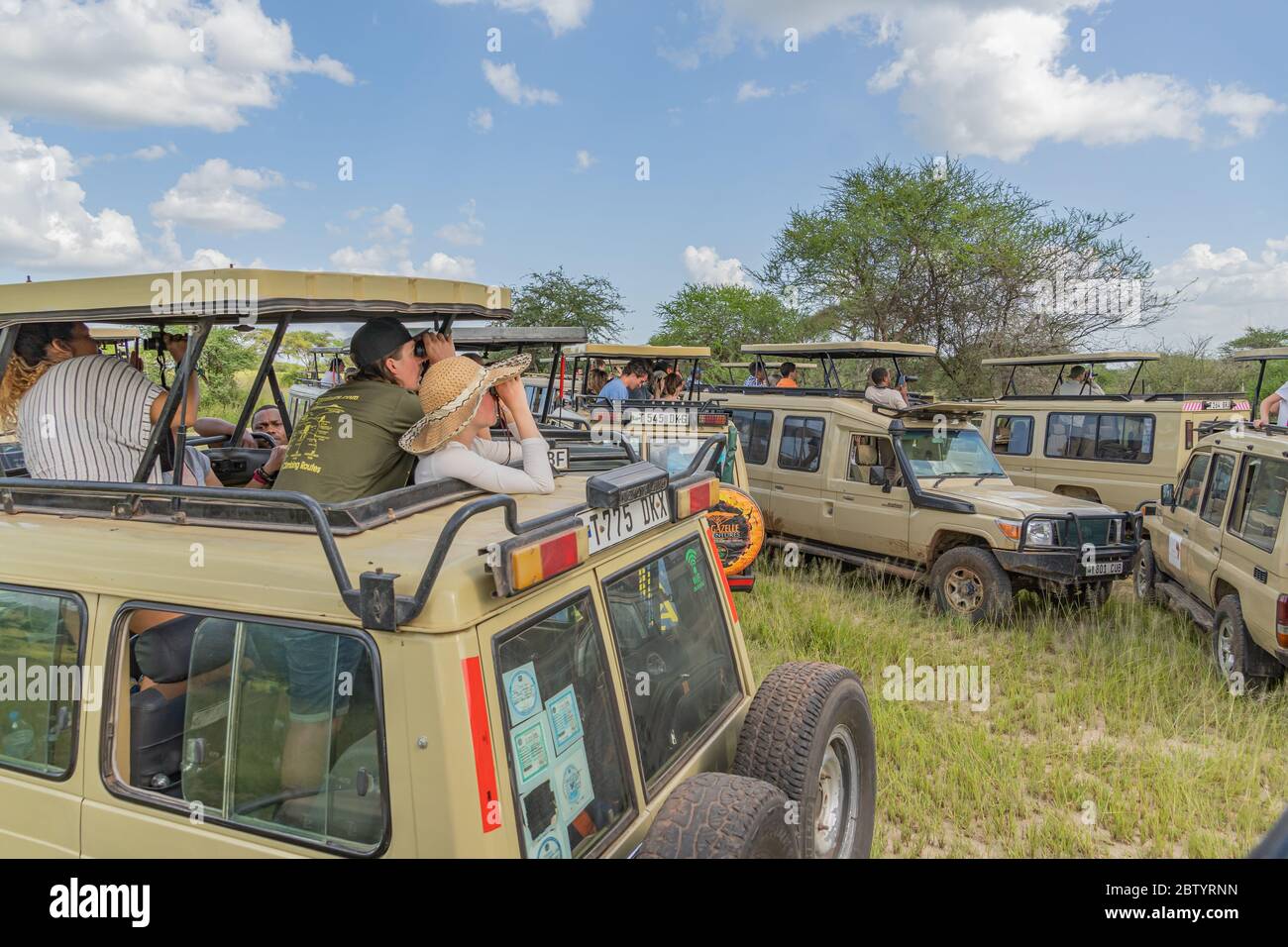 SERENGETI, TANZANIA - February 15,  2020: People take pictures and looking at a jeep safari at Serengeti National Park. Jeep off road cars in African Stock Photo