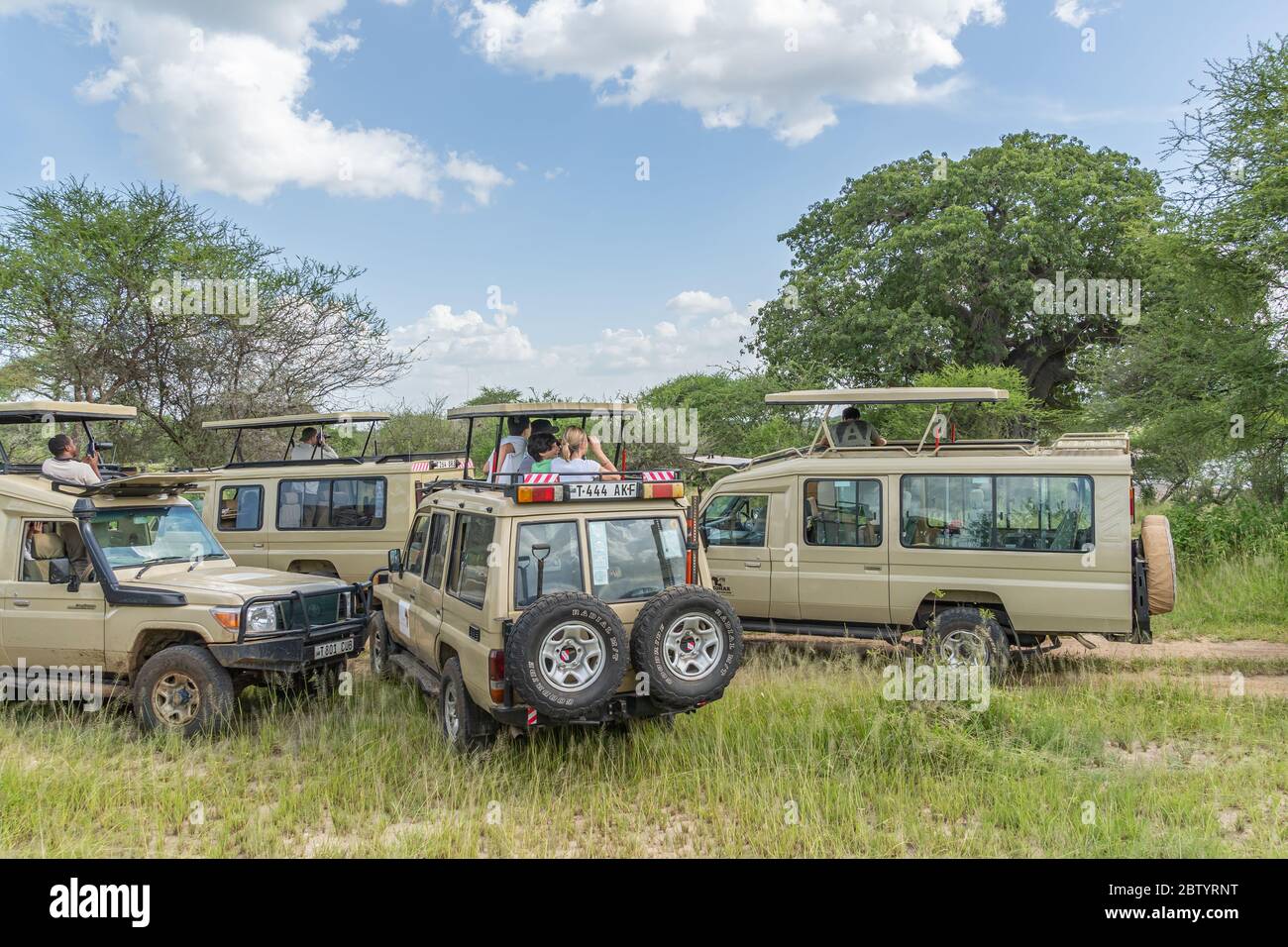 SERENGETI, TANZANIA - February 15,  2020: People take pictures and looking at a jeep safari at Serengeti National Park. Jeep off road cars in African Stock Photo