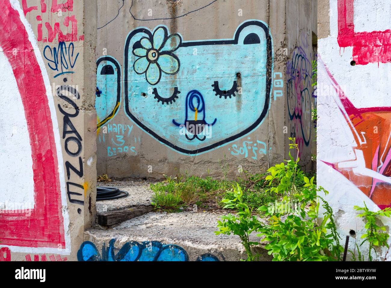 Cat face colorful graffiti on abandoned construction site wall in Sofia ...