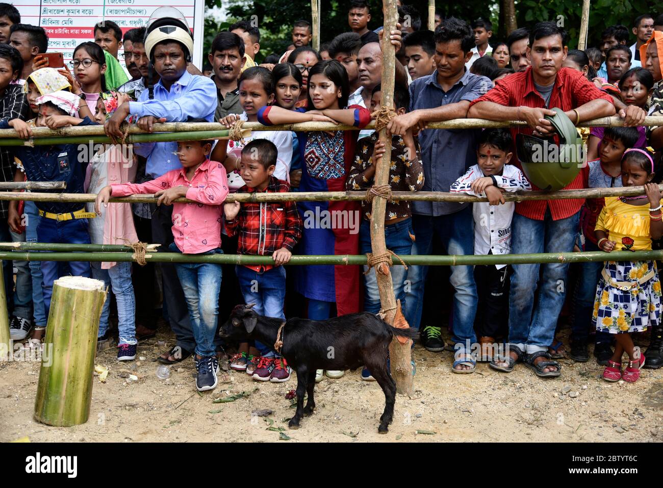 INDIA: Children fight their way to the front of the crowd to watch the bloody festival. The goat in view is likely to be involved in the barbaric ritu Stock Photo