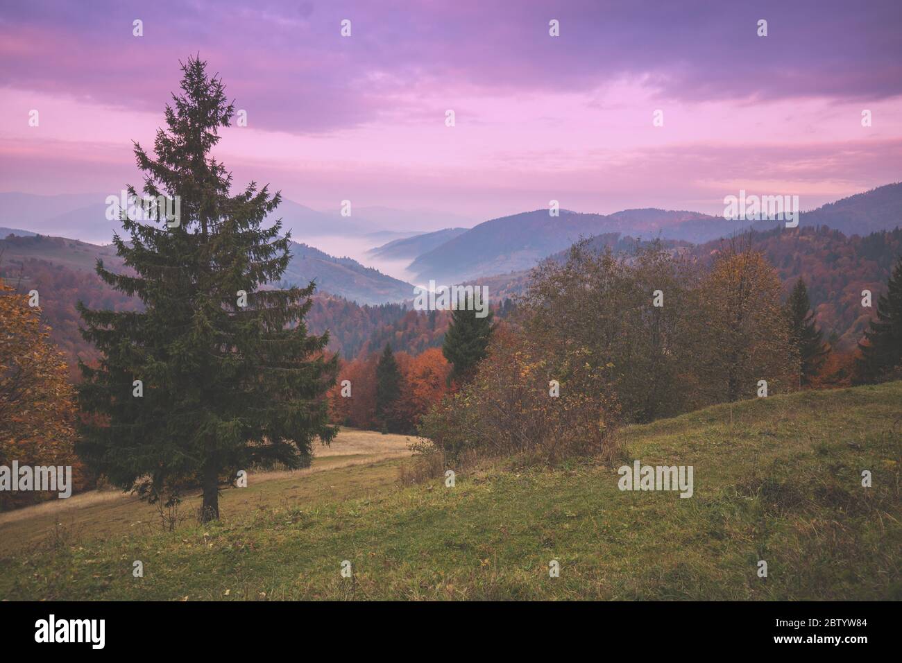 View of the mountains in a misty autumn morning. Beautiful nature ...
