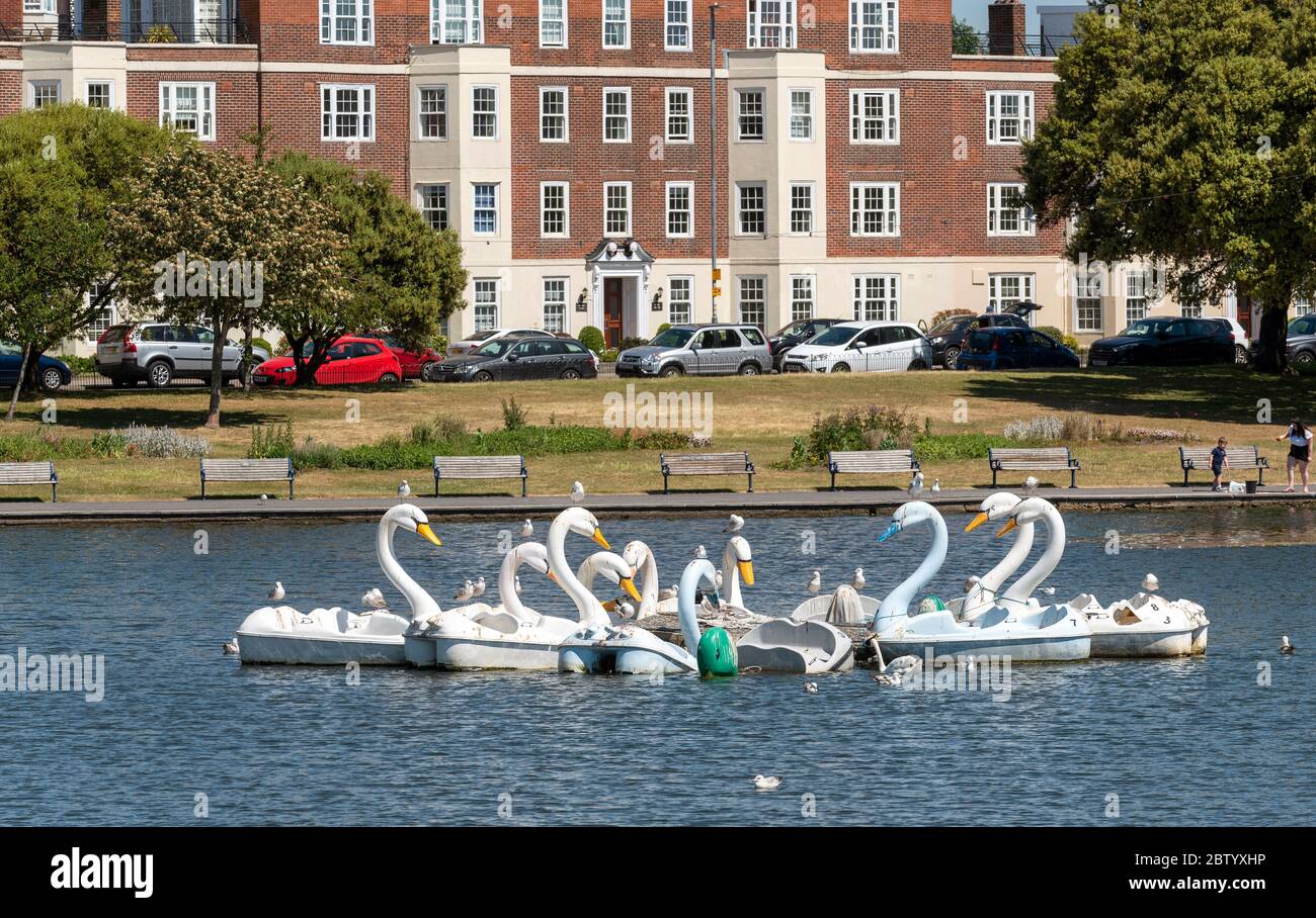 Portsmouth canoe lake swans hires stock photography and images Alamy