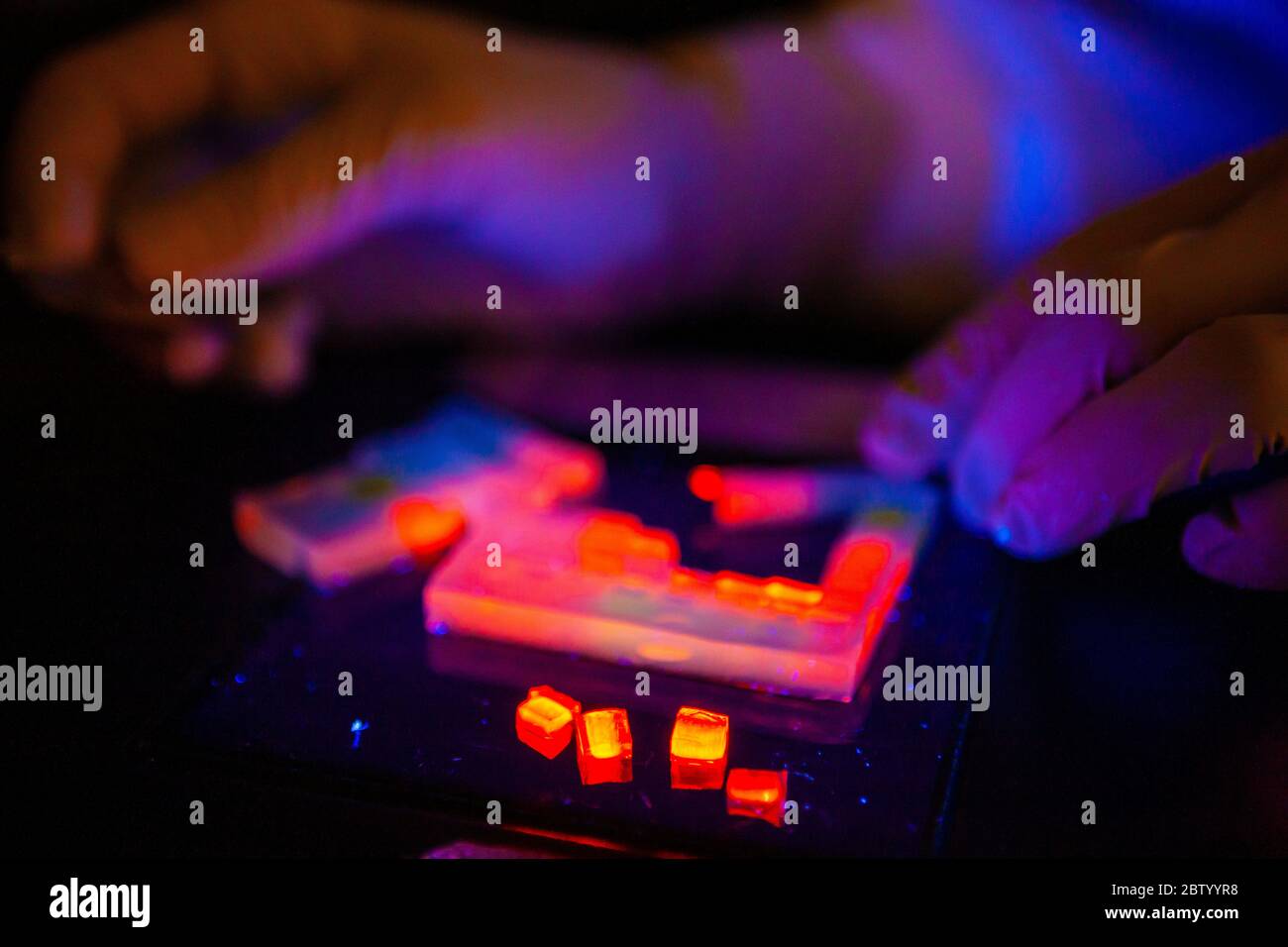 Dna extraction hires stock photography and images Alamy
