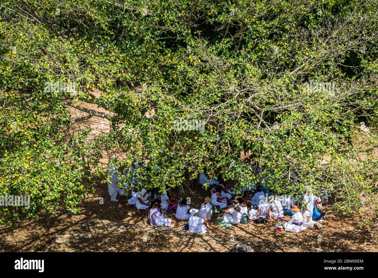 People dressed in white performing a ritual around a tree at the Mayan Ruins of Ek Balam, Yucatan, Mexico Stock Photo