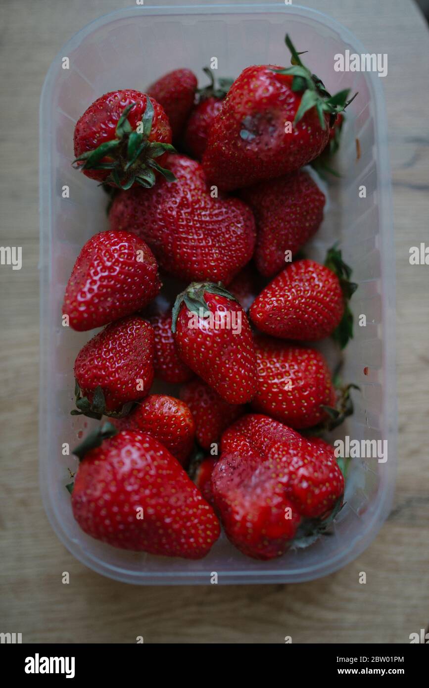 If one strawberry had mold on it, are the rest in the box still