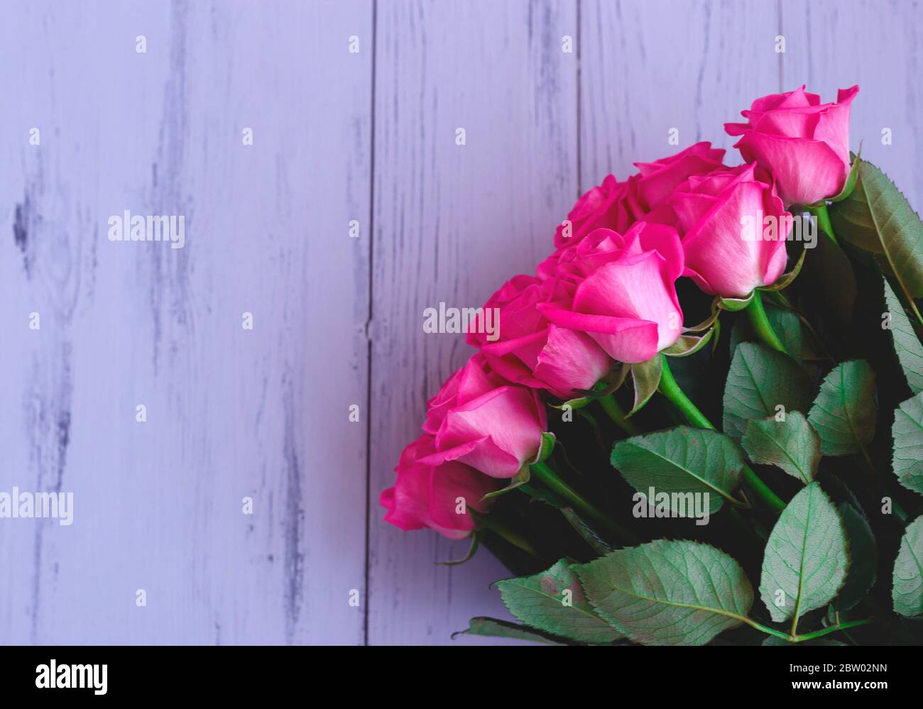 Beautiful fresh spring roses on a grey background Stock Photo