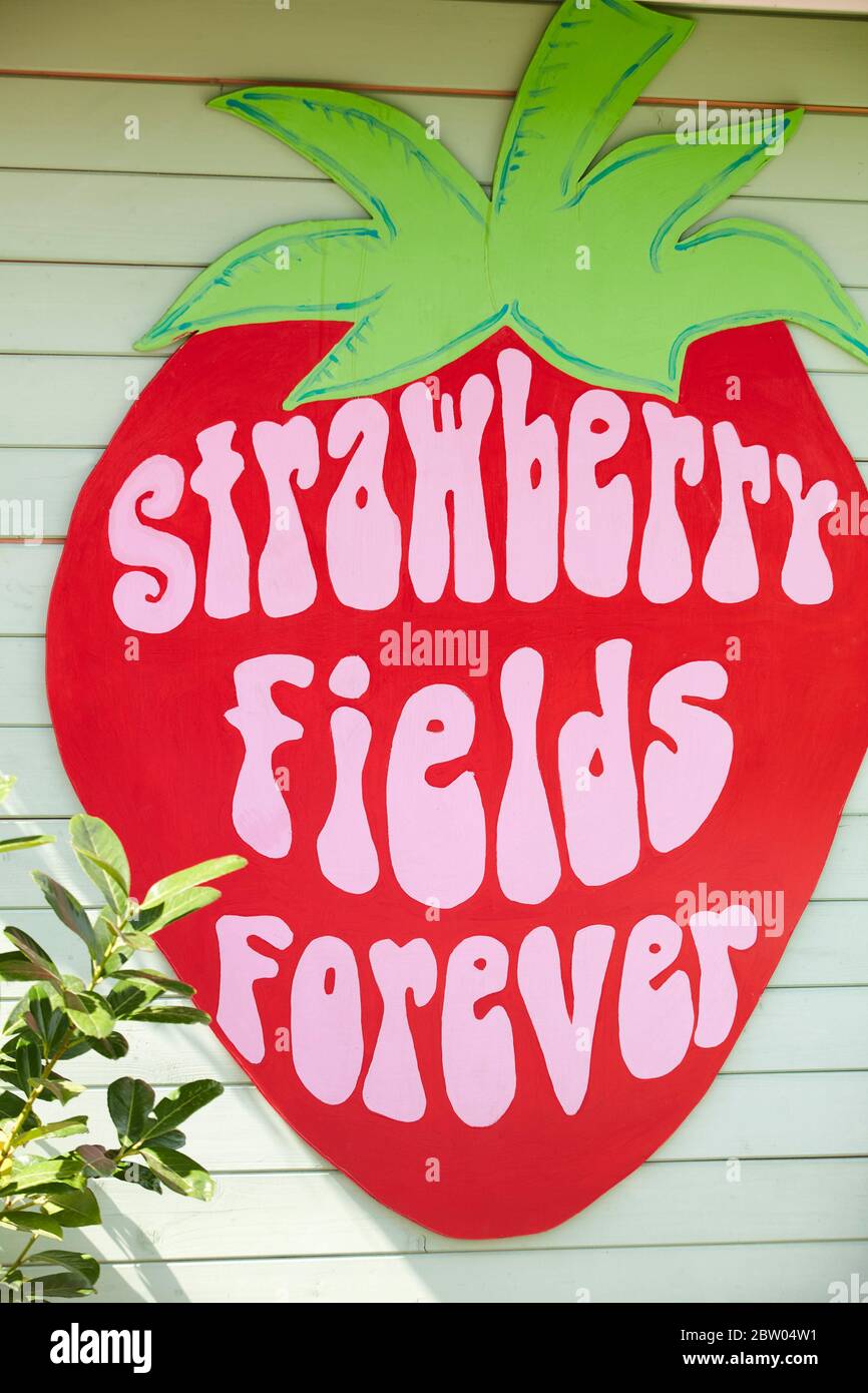 Crockford Bridge Farm Shop and Pick Your Own site, Ottershaw, Surrey