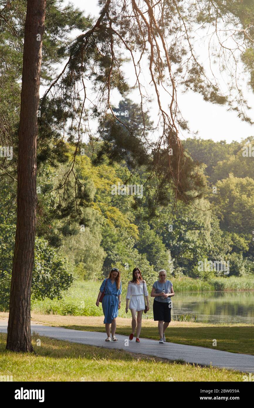 Virginia Water, Windsor Great Park, Surrey, England Stock Photo