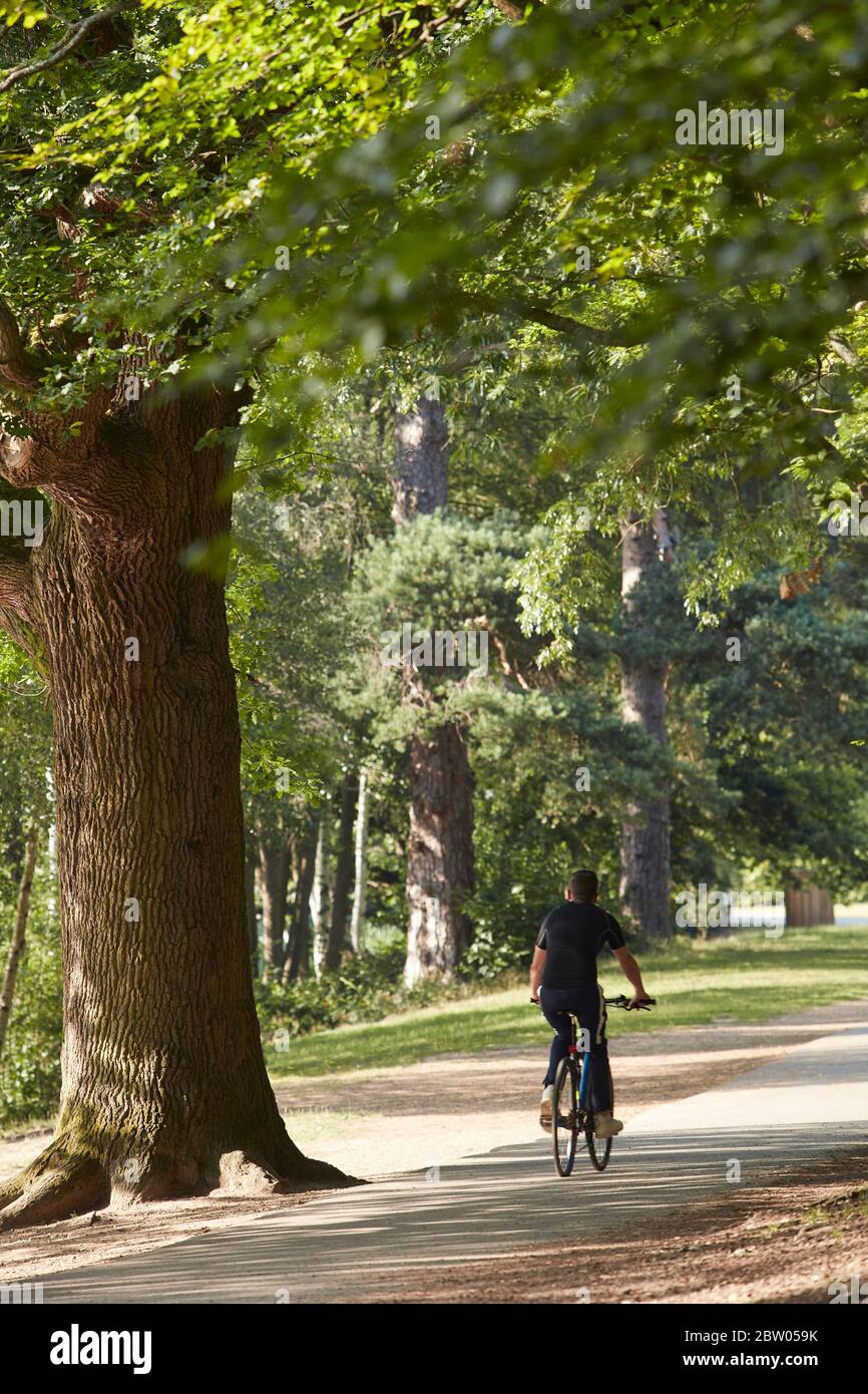 Virginia Water, Windsor Great Park, Surrey, England Stock Photo